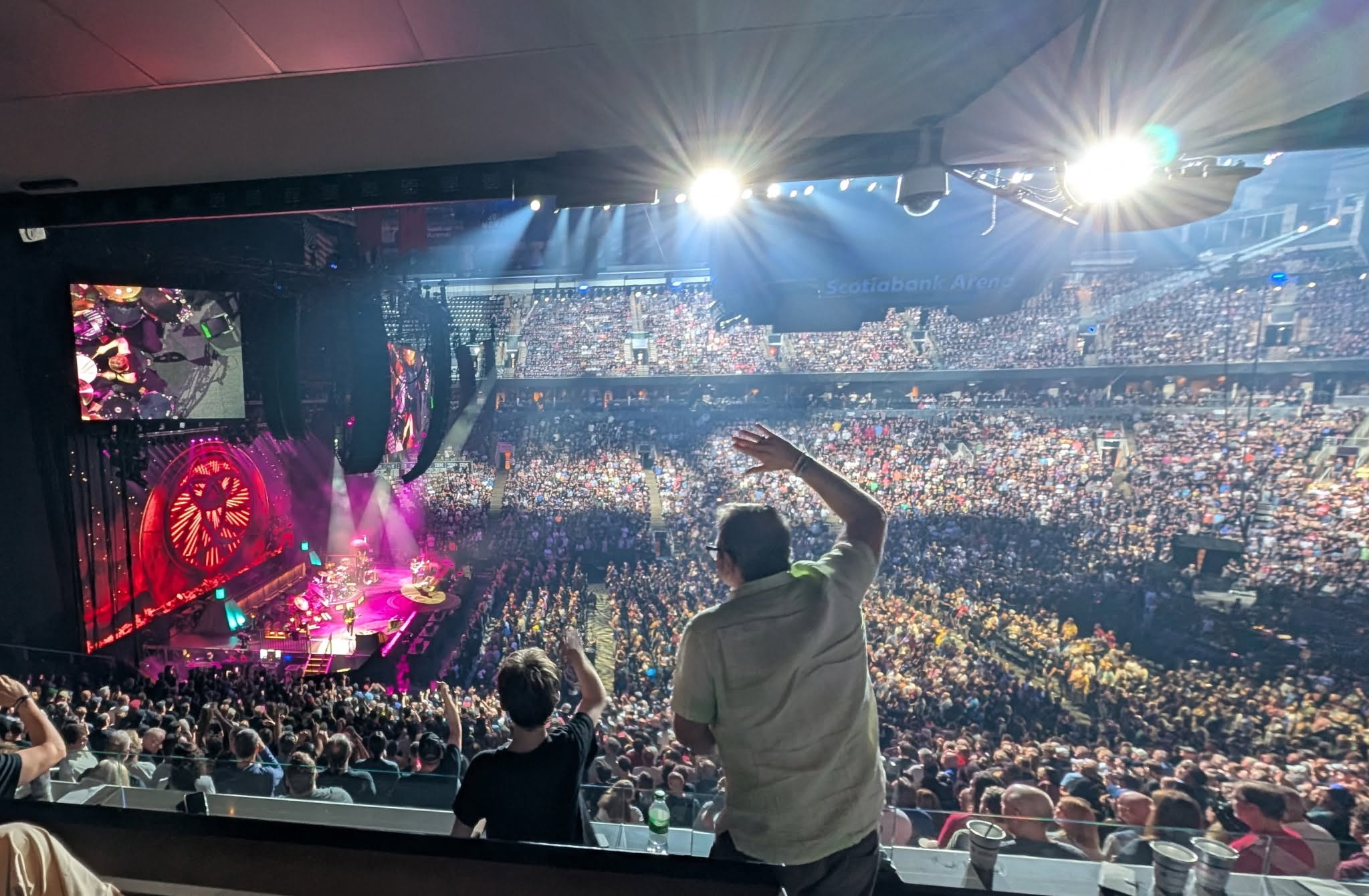 Steve waving above a packed concert arena